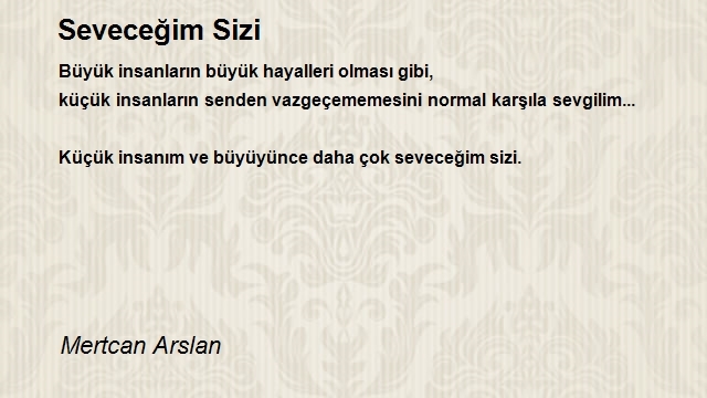 Mertcan Arslan