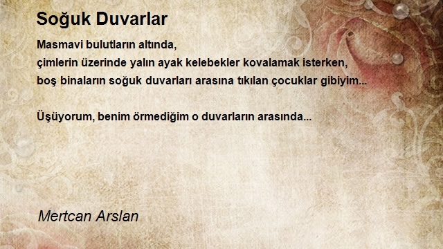 Mertcan Arslan