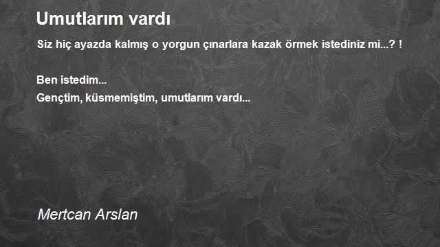 Mertcan Arslan