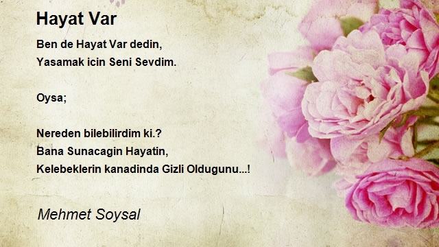 Mehmet Soysal