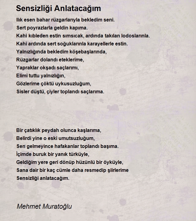 Mehmet Muratoğlu