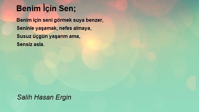 Salih Hasan Ergin