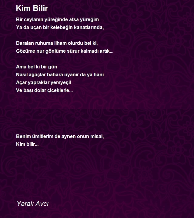 Yaralı Avcı