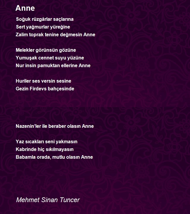 Mehmet Sinan Tuncer