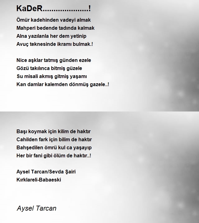 Aysel Tarcan