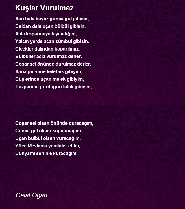 Celal Ogan