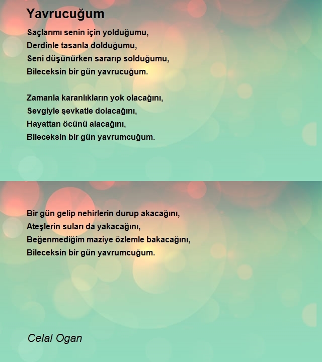 Celal Ogan