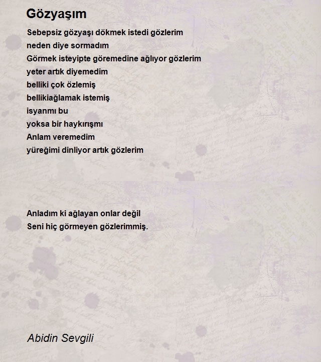 Abidin Sevgili