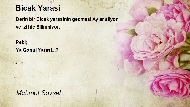 Mehmet Soysal