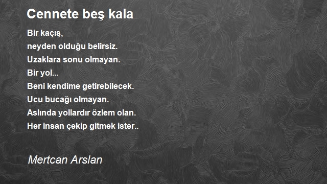 Mertcan Arslan