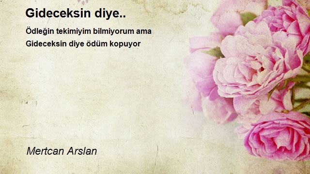 Mertcan Arslan