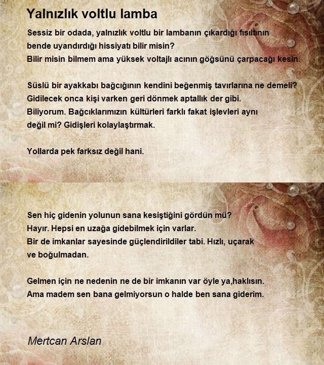 Mertcan Arslan