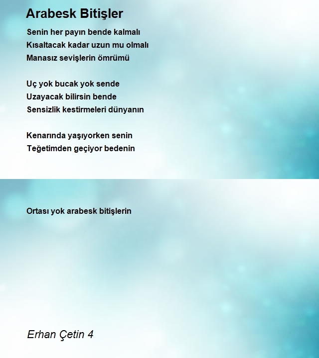 Erhan Çetin 4