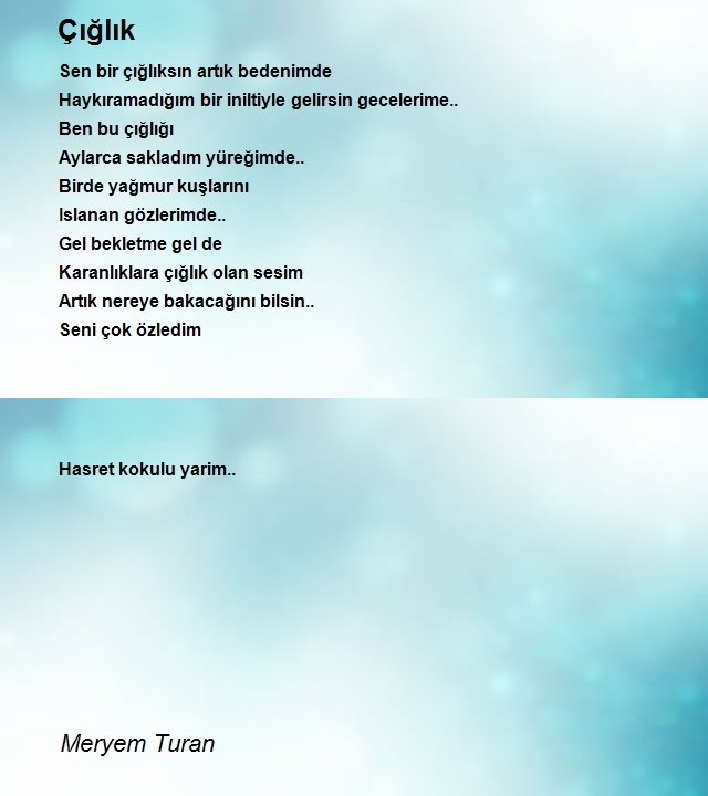 Meryem Turan