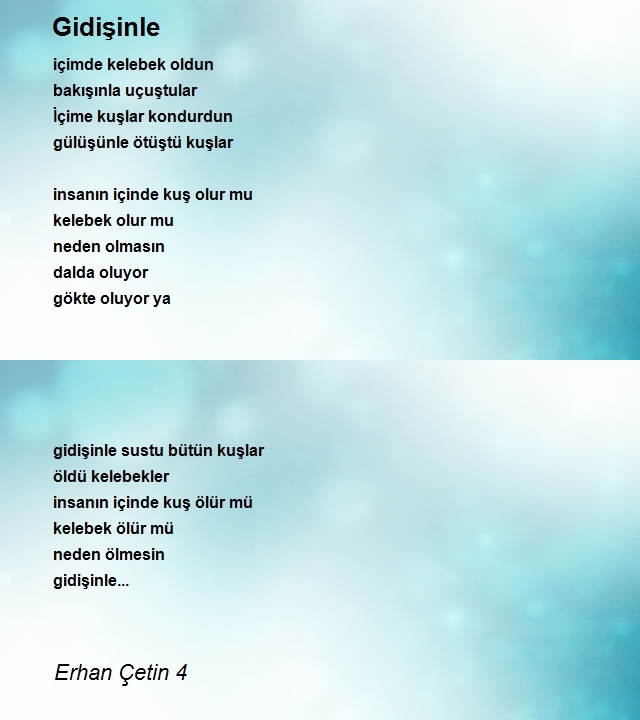 Erhan Çetin 4