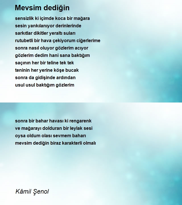 Kâmil Şenol