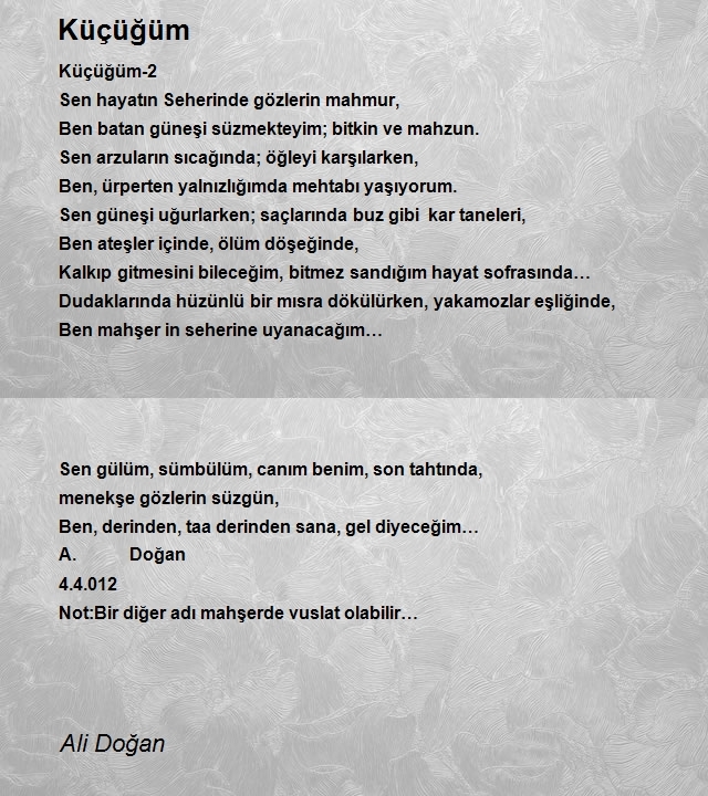 Ali Doğan