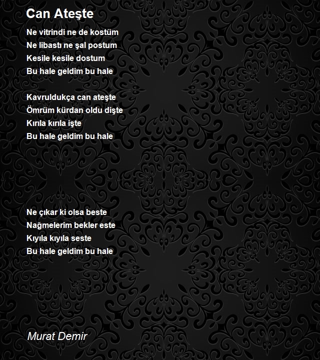 Murat Demir