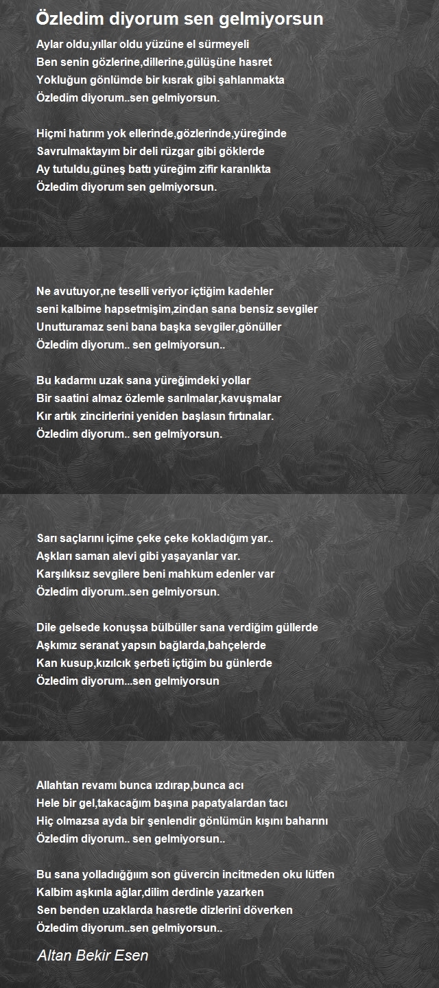 Altan Bekir Esen