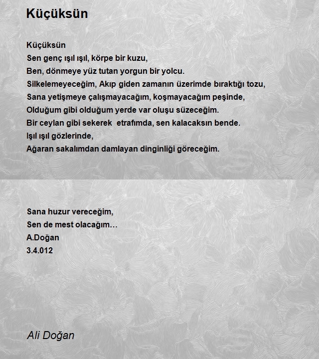 Ali Doğan