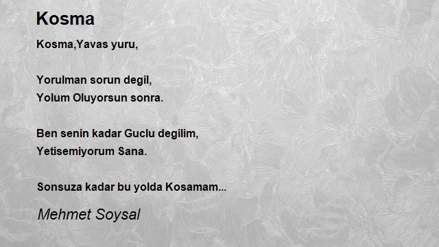 Mehmet Soysal