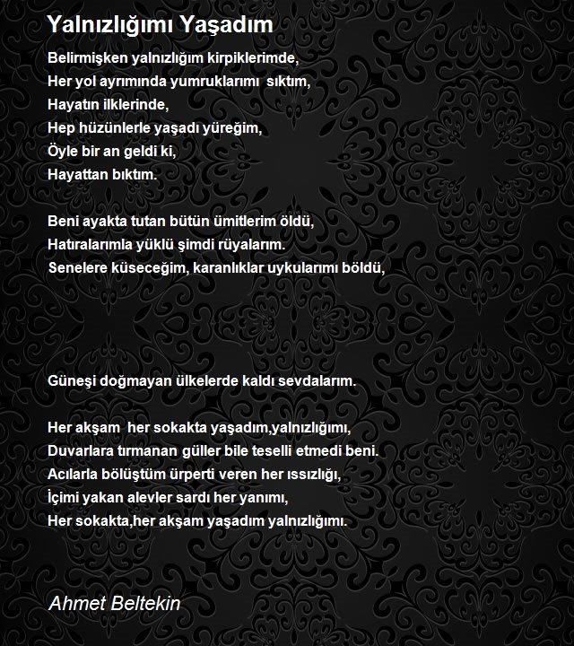 Ahmet Beltekin