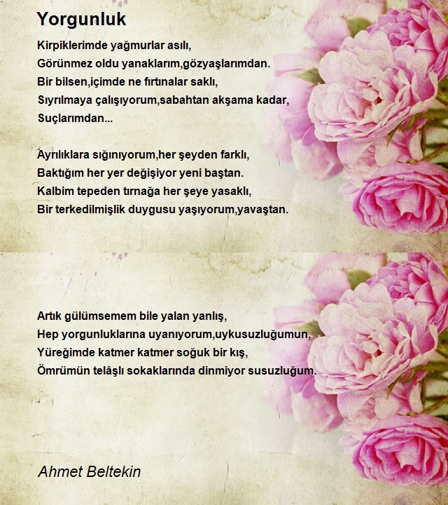 Ahmet Beltekin