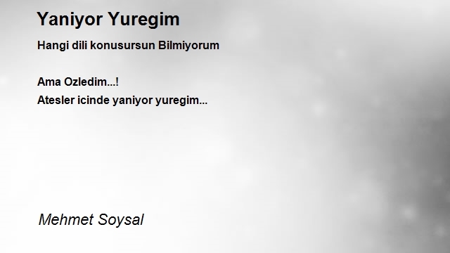 Mehmet Soysal