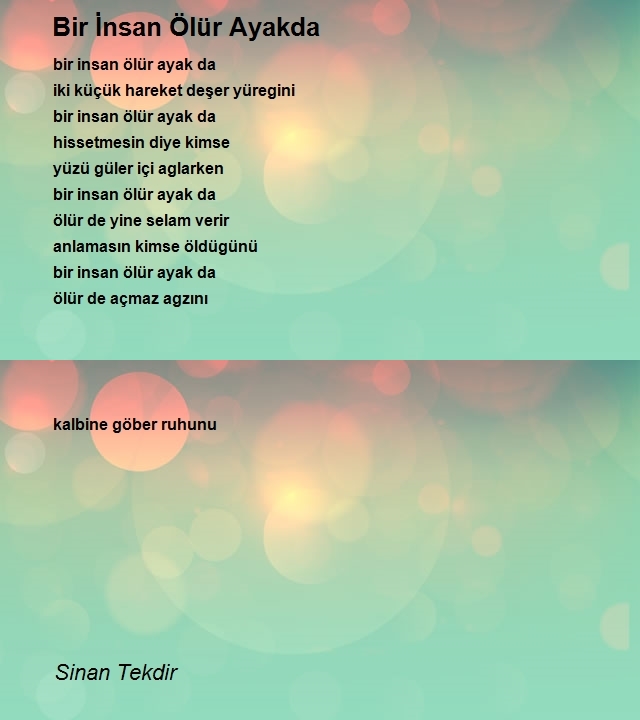 Sinan Tekdir