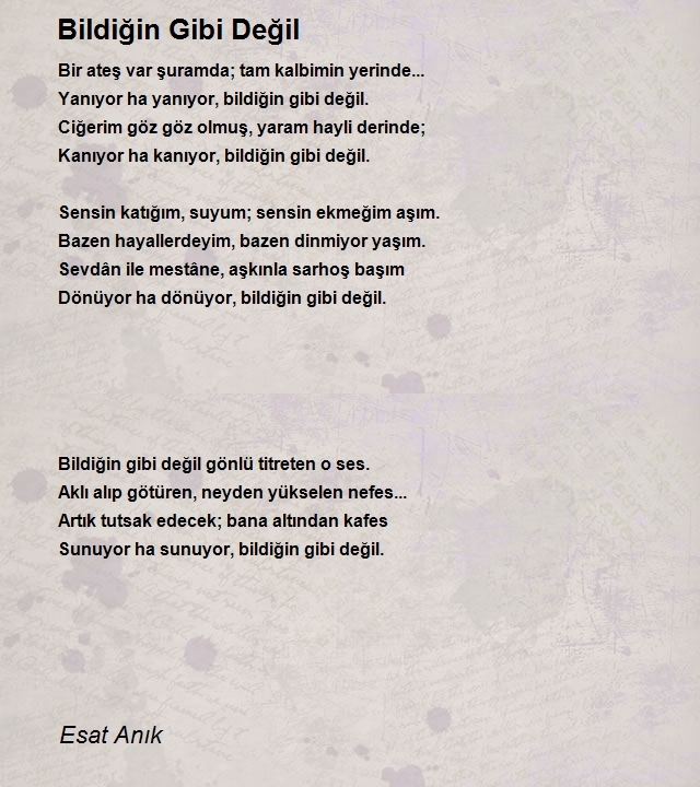 Esat Anık