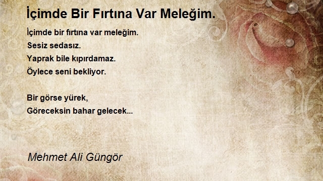 Mehmet Ali Güngör