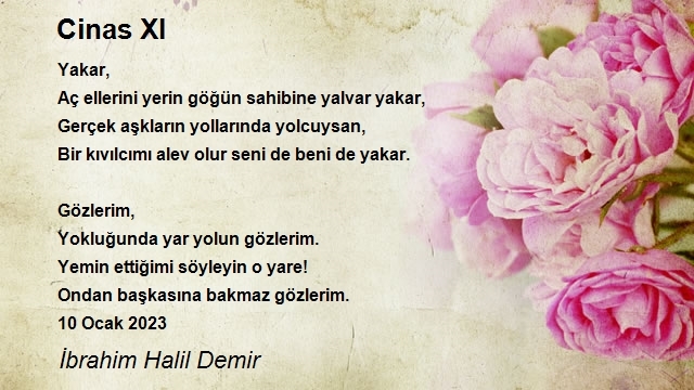 İbrahim Halil Demir