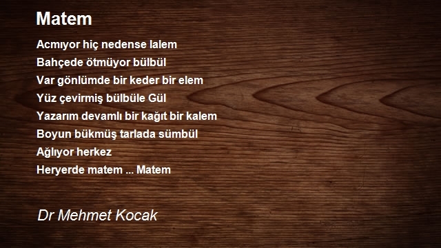 Dr Mehmet Kocak