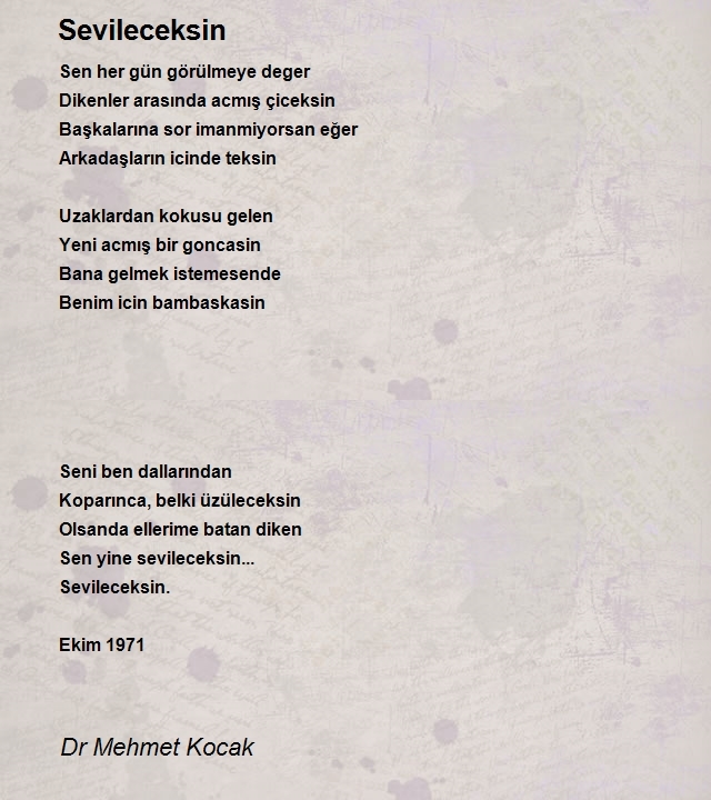 Dr Mehmet Kocak