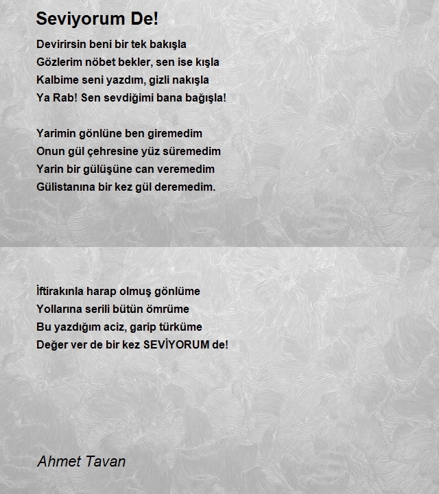 Ahmet Tavan