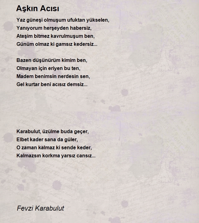 Fevzi Karabulut