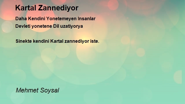 Mehmet Soysal