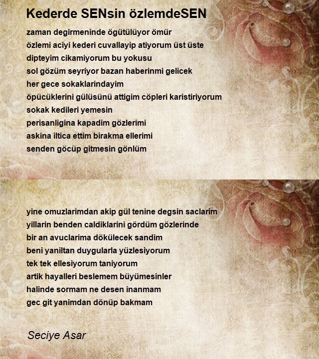 Seciye Asar