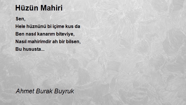 Ahmet Burak Buyruk