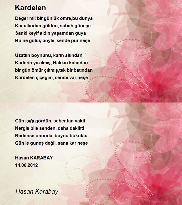 Hasan Karabay