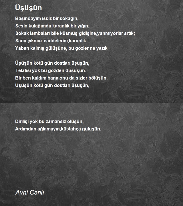 Avni Canlı