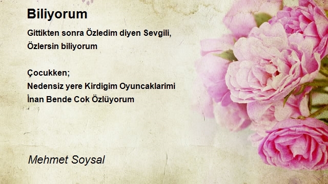 Mehmet Soysal