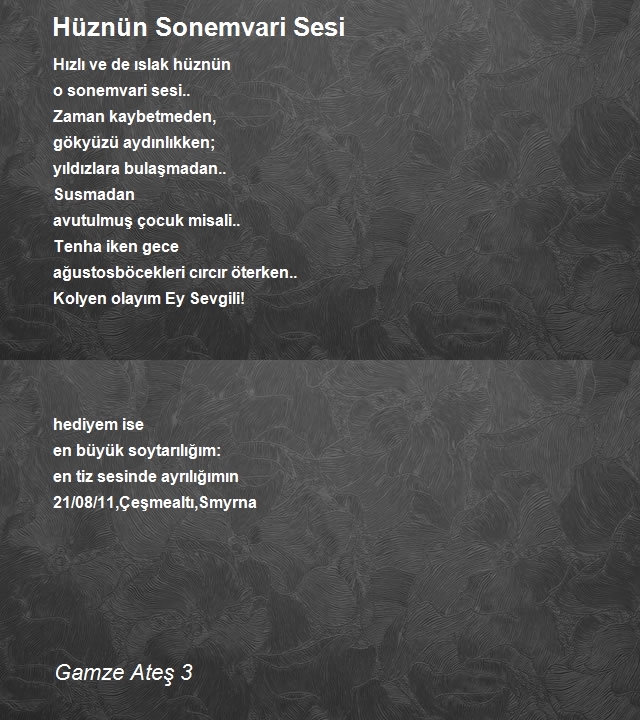 Gamze Ateş 3