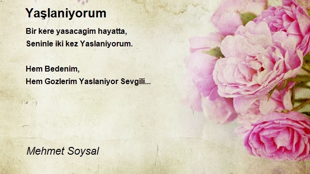 Mehmet Soysal