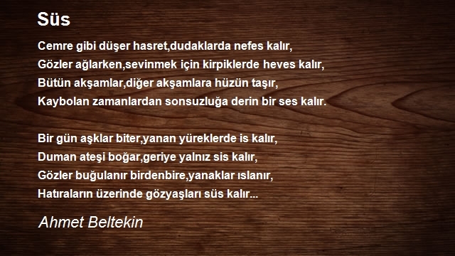 Ahmet Beltekin