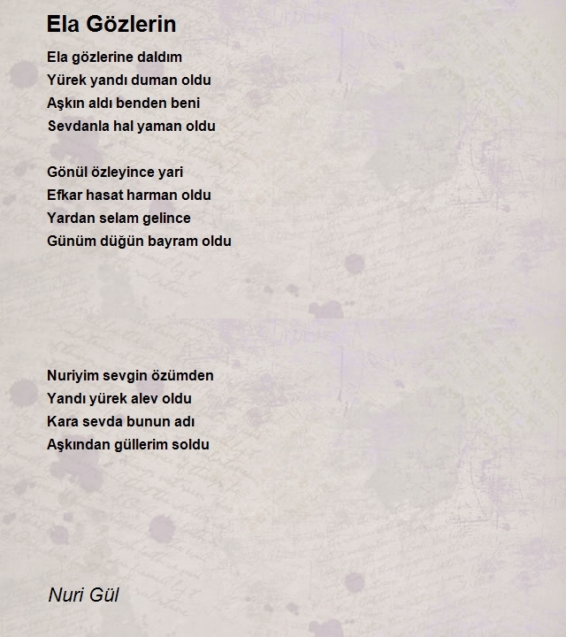 Nuri Gül