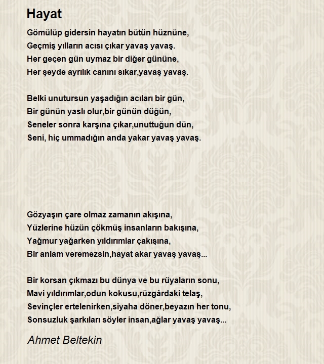 Ahmet Beltekin