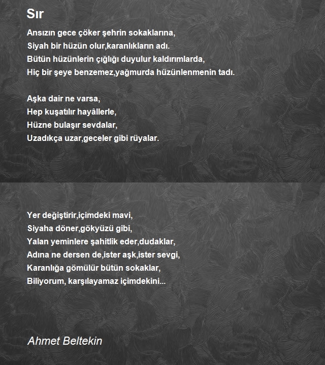 Ahmet Beltekin