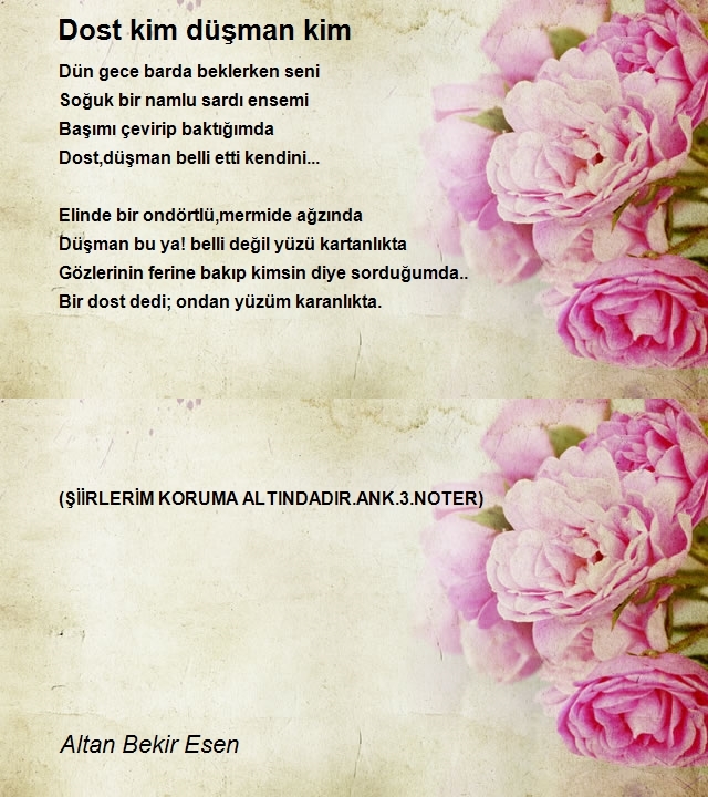 Altan Bekir Esen