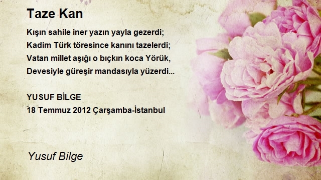 Yusuf Bilge